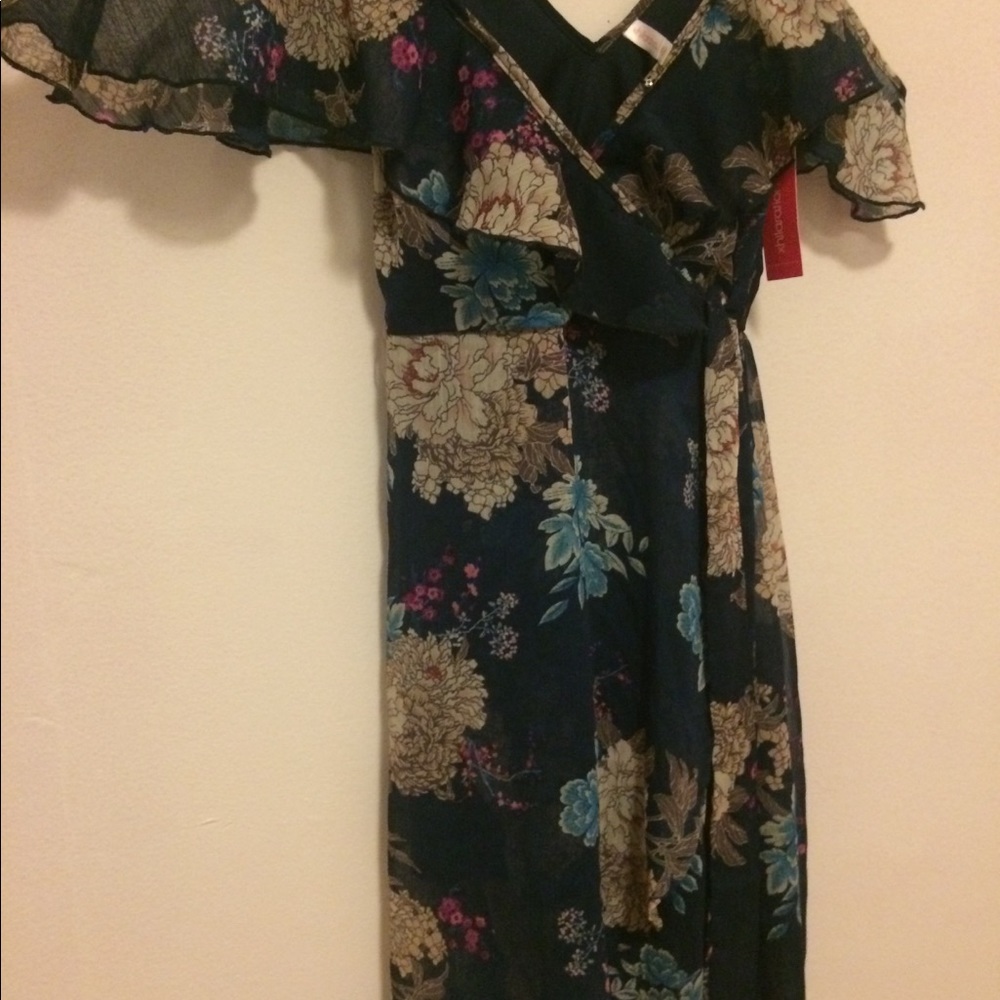New Beautiful Target chiffon dress, blue floral